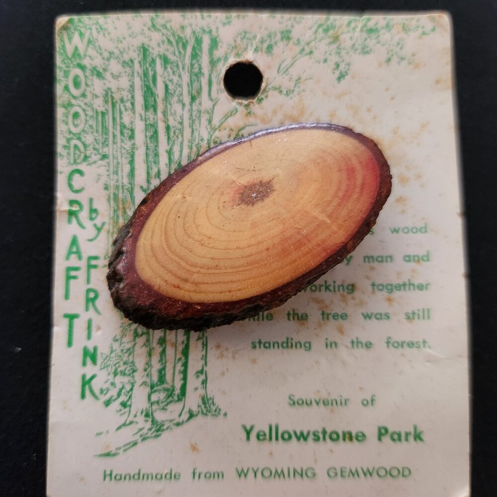 Vintage Yellowstone Park Souvenir Brooch Craft by Frink from Wyoming Gemwood